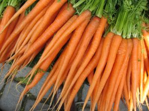 Carrots 